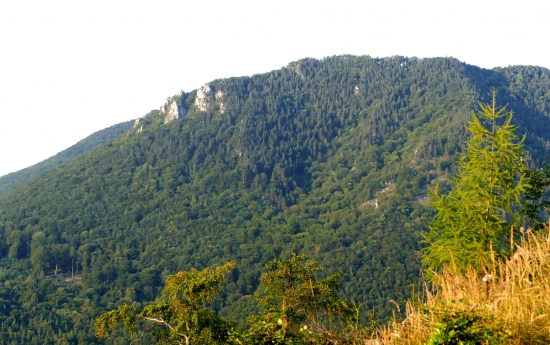 Len tak