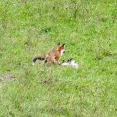 Keby si  chcel...hm?