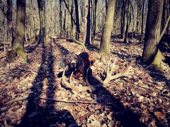 keď sa ti hora odvďačí