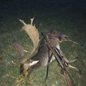 Životní úlovek, 201,95b, věk 11+,volnost