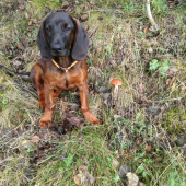 Dnešná prechádzka