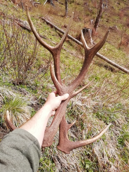 Dnešna križiacka vyprava