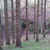 Brloch