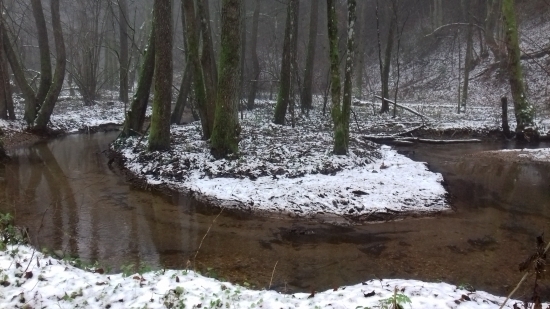 Meandre Driekyňského potoka