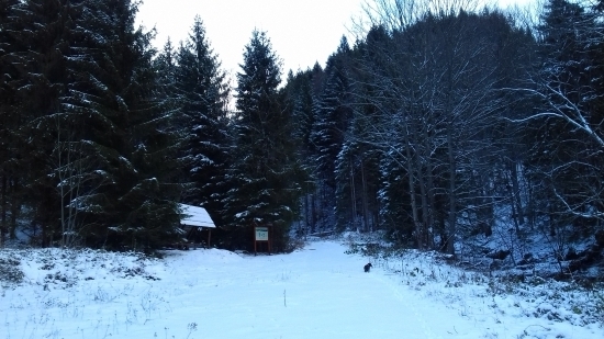 Vajskovská dolina - Smrečiny