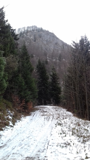 Pod Jelenskou skalou