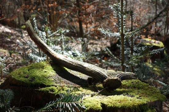 Keď neprší, aspoň kvapká