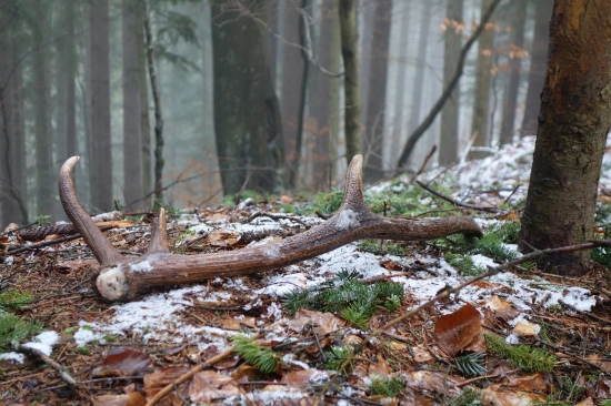 Šťastie sa usmialo