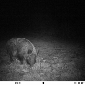 konečne sa nám ukázali...