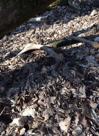 este spred krista :D