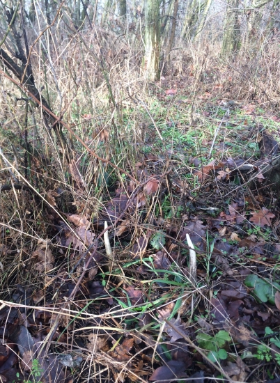 darček pod stromček