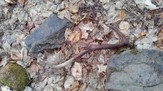 Minuloročná šestka