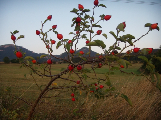 ...a máme tu jeseň...