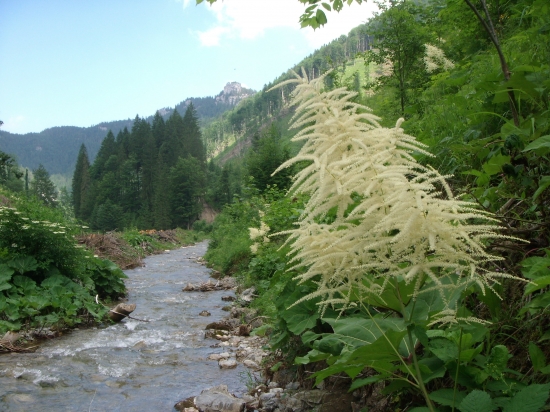 Gaderská dolina