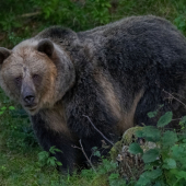 V celej svojej kráse..