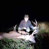 Jeleň zo srvatkovca