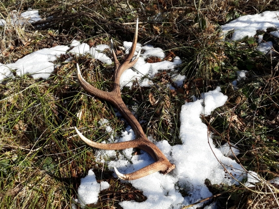 Môj prvý nájdený