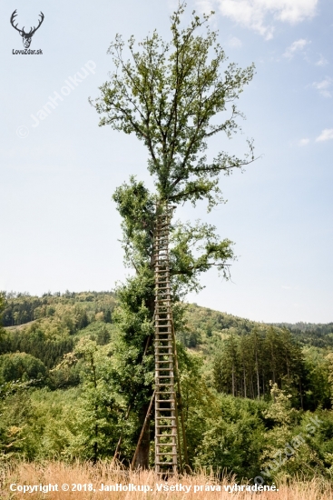 15 meterový posed na dubu