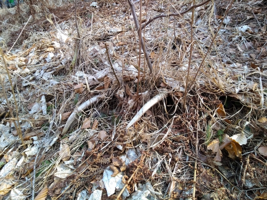 Tri roky si poležal