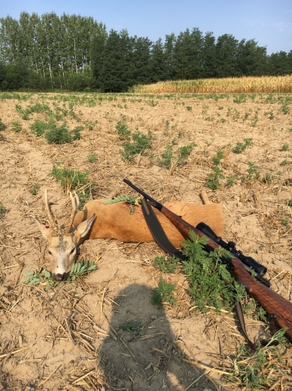 Privábený z kukurice