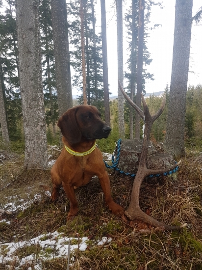 Vo dvojici sa to ťahá lepšie!