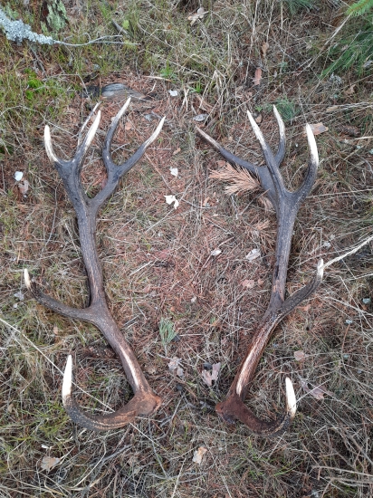 Konečne sa pošťastilo