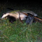 Keď vetrík pomôže