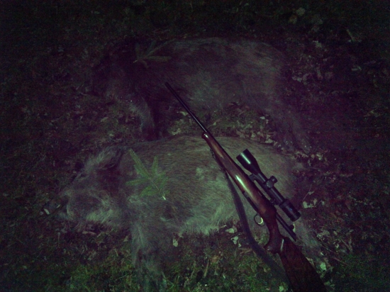 Jedna vydarená rana.