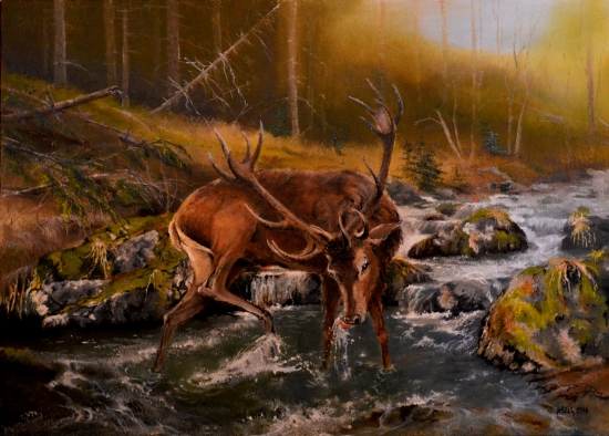 Osvieženie na potoku