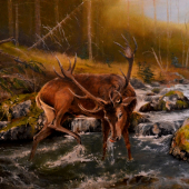 Osvieženie na potoku