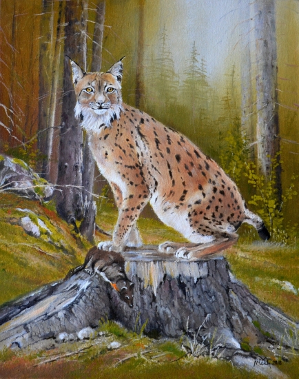 Ešte sa rozhliadnem a pôjdem