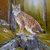 Ešte sa rozhliadnem a pôjdem