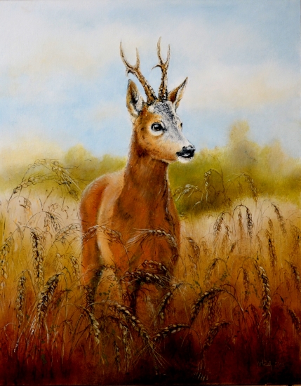 Srnec v žite