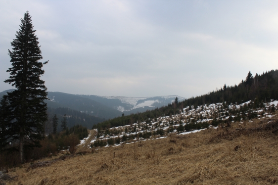 Výhľad