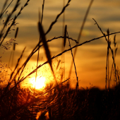 Slnko už za hory zachodí,...