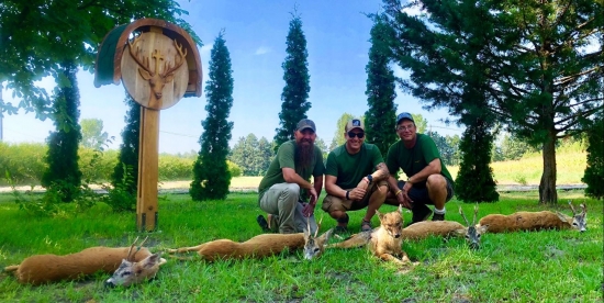 Pekný ranný výrad