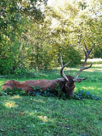 Výradový a raritný