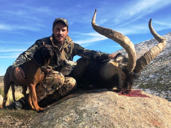 Rekordný kozorožec a slovenský farbiar