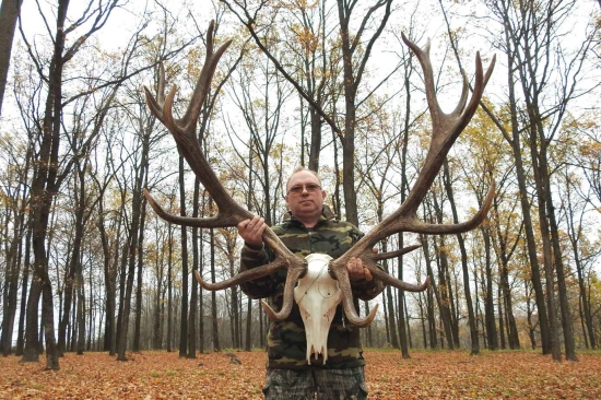 Lov jelena lesného v Rusku