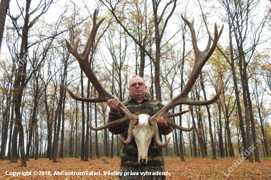 Lov jelena lesného v Rusku