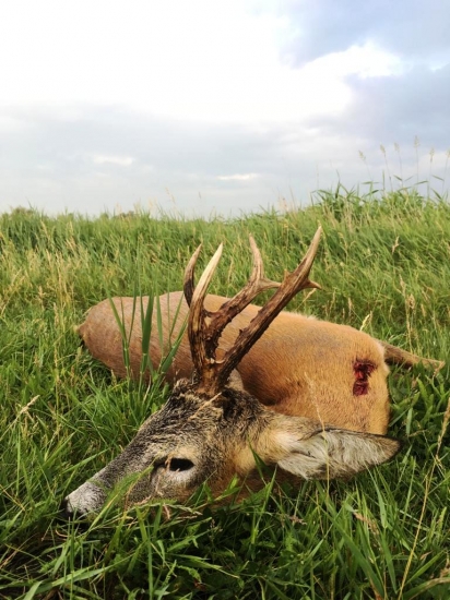 Sezóna v Maďarsku začala