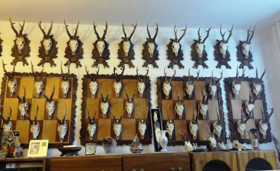 Aj v paneláku sa dá :-)