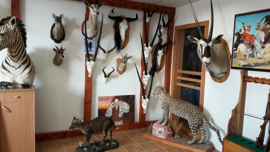 niečo pestrejšie z kútov sveta