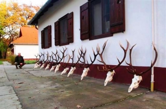 Trofeje našich klientov