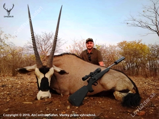 Oryx gazela - priamorožec africký