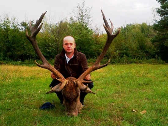 Zlatý jeleň z Vihorlatu