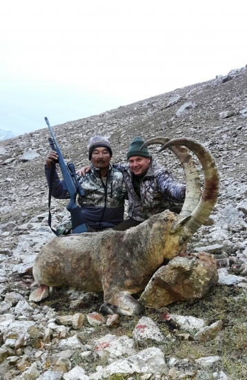 Kozorožec sibírsky