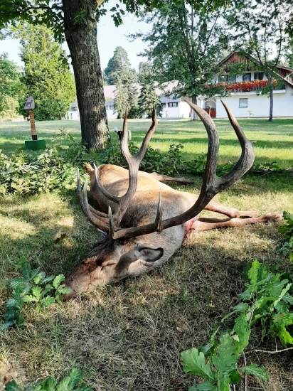 Začíname v Maďarsku 2019