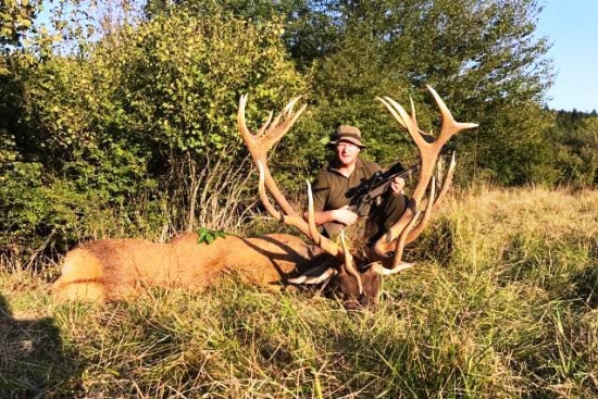 Zlatý jeleň od Lasice