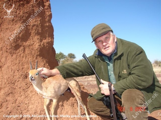 Antilopka trávna / steenbok